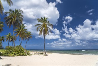 On the beach Plage de la Chapelle, Anse Bertrand, Grande-Terre, Guadeloupe, France, North America