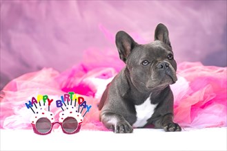 French Bulldog dog wearing pink tutu skirt with glasses saying Happy Birthday