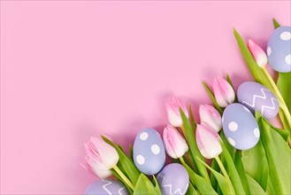 Easter eggs and white tulip spring flowers with pink tips in corner of pink background with copy space