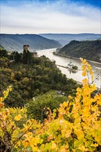 Gutenfels Castle and Pfalzgrafenstein Castle, Kaub, Upper Middle Rhine Valley, UNESCO World Heritage Site, Rhineland-Palatinate, Germany, Europe
