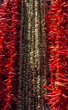 Dried peppers and aubergines and colourful spices in the Spice Market