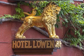 Historic Old Town, Hotel Loewen with golden animal figure, Lake Constance, Meersburg, Baden-Wuerttemberg, Germany, Europe