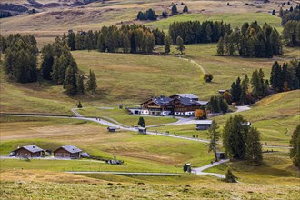 Hotel Ritsch in the middle of autumnal alpine meadows on the Alpe di Siusi, Val Gardena, Dolomites, South Tyrol, Italy, Europe