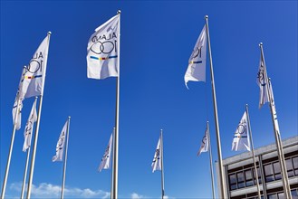Flags for the anniversary of autonomy, inscription 100 years Aland, Mariehamn, Aland Islands, Finland, Europe