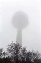 Koeterberg telecommunications tower in the fog, dreary autumn weather, Luegde, Weserbergland, North Rhine-Westphalia, Germany, Europe