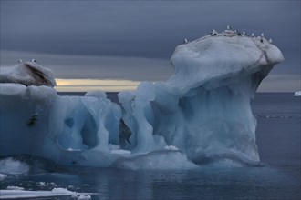 Blue iceberg with ice structures, kittiwakes