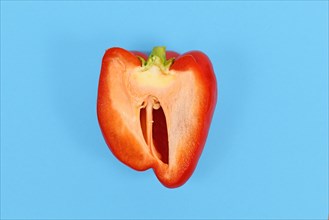Open red bell pepper on blue background