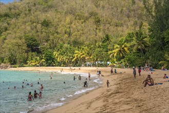 At the beach Plage de Grande Anse near Deshaies in the north of Basse-Terre, Guadeloupe, France, North America