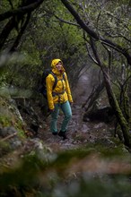 Hiker in dark forest, Vereda Francisco Achadinha hiking trail, Rabacal, Paul da Serra, Madeira, Portugal, Europe