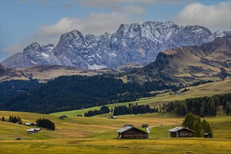 Autumnal alpine meadows and alpine huts on the Alpe di Siusi, behind the snow-covered mountains of the Catinaccio, Val Gardena, Dolomites, South Tyrol, Italy, Europe