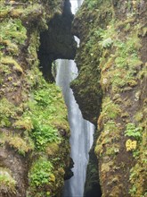 Gljufrabui waterfall in a gorge, near Hamragardar, South Iceland, Iceland, Europe