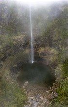 Aerial view, Lagoa do Vento with Upper Risco waterfall, forest and fog, Rabacal, Madeira, Portugal, Europe