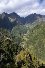 Miradouro dos Balcoes, Ribeira da Metade Mountain Valley and the Central Mountains, Madeira, Portugal, Europe