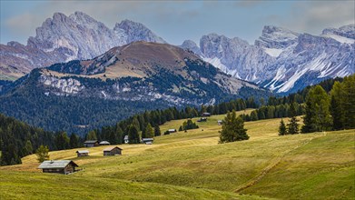 Autumnal alpine meadows and alpine huts on the Alpe di Siusi, behind the snow-covered peaks of the Geisler and Puez Group, Val Gardena, Dolomites, South Tyrol, Italy, Europe
