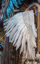Beautiful bird feathers for decorative purposes