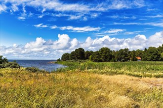 Typical coastline in summer, Eckeroe, Fasta Aland, Aland Islands, Aland Islands, Finland, Europe
