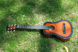 Guitar on grass