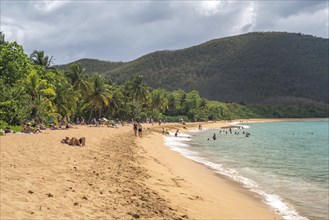 At the beach Plage de Grande Anse near Deshaies in the north of Basse-Terre, Guadeloupe, France, North America