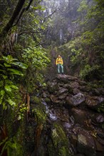 Hiker standing in the forest in front of waterfall at Vereda Francisco Achadinha, Rabacal, Madeira, Portugal, Europe
