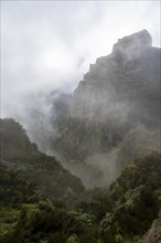 Fog on a rocky cliff, Central Mountains of Madeira, Madeira, Portugal, Europe