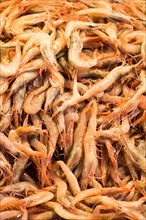 Raw shrimp with head, fresh and ready to cook