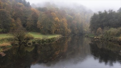 Foggy atmosphere, River Thaya in autumn, National Park Thayatal, Hardegg, Lower Austria, Austria, Europe