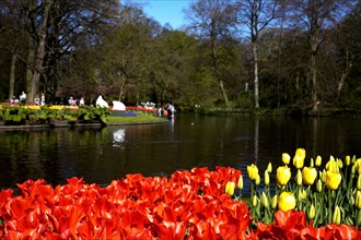 Tulip flowers, Inspiration Gardens, Keukenhof, Lisse, Netherlands