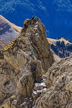 Climbers on the Innerkoflerturm, view from the Langkofelscharte, Sella Pass, Dolomites, South Tyrol, Italy, Europe