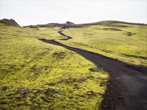 Rough track in the highlands, moss-covered volcanic landscape, Laki crater or Lakagigar, highlands, South Iceland, Suourland, Iceland, Europe