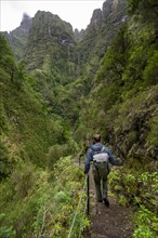 Hikers on a narrow path along a levada, forested mountains and ravines, Levada do Caldeirao Verde, Parque Florestal das Queimadas, Madeira, Portugal, Europe