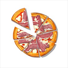 Sliced Pizza Tirolese cartoon over white background, vector illustration