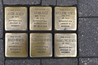 Stolpersteine, copper memorial slabs of murdered Jewish fellow citizens during the Nazi era, Erlangen, Middle Franconia, Bavaria, Germany, Europe