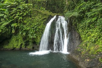 Cascade aux Ecrevisses waterfall in Guadeloupe National Park, Basse-Terre, Guadeloupe, France, North America
