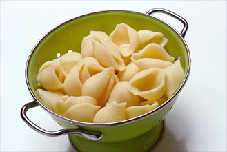 Cooked conchiglie pasta in drainer, pasta