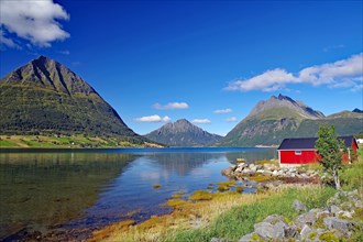 Red wooden house and high, rugged mountains by a fjord, shallow bay, Aldersund, FV 17, Kystriksveien, Nordland, Norway, Europe