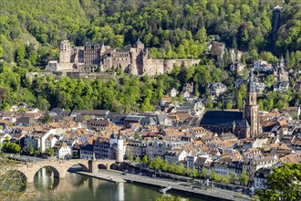 Heidelberg Castle is one of the most visited tourist attractions in Europe, Heidelberg, Old Town with Old Bridge and Neckar River, Baden-Wuerttemberg, Germany, Europe