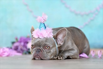 French Bulldog with birtday part hat lying down in front of blue background with paper streamers and flowers
