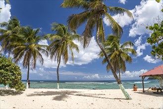 On the beach Plage de la Chapelle, Anse Bertrand, Grande-Terre, Guadeloupe, France, North America