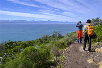 Hikers on Robberg Island, Robberg Peninsula, Robberg Nature Reserve, Plettenberg Bay, Garden Route, Western Cape, South Africa, Africa
