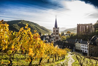 Vineyards and town, St. Peters Parish Church and the ruined Werner Chapel, Bacharach, Upper Middle Rhine Valley, UNESCO World Heritage Site, Rhine, Rhineland-Palatinate, Germany, Europe