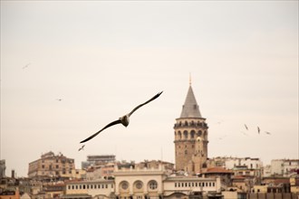 View of the Galata Tower from Byzantium times in Istanbul