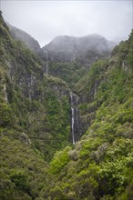 Waterfall, Green Forest and Mountains of Rabacal, Paul da Serra, Madeira, Portugal, Europe