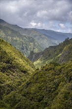 Green forest and hills of Rabacal, Paul da Serra, Madeira, Portugal, Europe