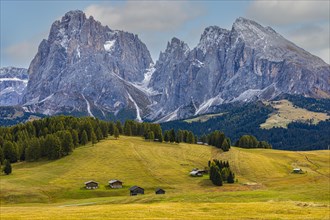 Autumnal alpine meadows and alpine huts on the Alpe di Siusi, behind the snow-covered peaks of the Sassolungo group, Val Gardena, Dolomites, South Tyrol, Italy, Europe