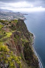 View of coast, Cabo Girao, Europes highest cliff, Madeira
