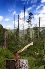 Axe on chopping block in front of damaged forest, Black Forest, Baden-Wuerttemberg, Composing, Germany, Europe