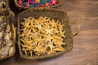 Beautiful starfish for decorative purposes