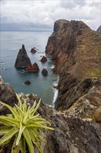 Coastal landscape, cliffs and sea, Miradouro da Ponta do Rosto, rugged coast with rock formations, Cape Ponta de Sao Lourenco, Madeira, Portugal, Europe