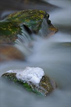 Mountain stream in the Bavarian Forest National Park, close-up with snow, ice, flow. Bavaria, Germany, Europe