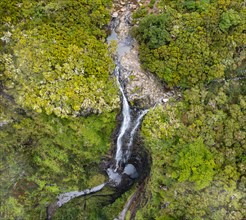 Aerial view, Lagoa do Vento with lower Risco waterfall, forest and fog, Rabacal, Madeira, Portugal, Europe